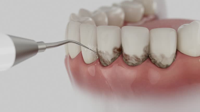 Reliable Dental contractor in Plaquemine, LA by Dentist Open Now